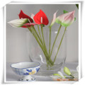 Mini Anthuriam Simulation Flowers para promoción / regalo promocional